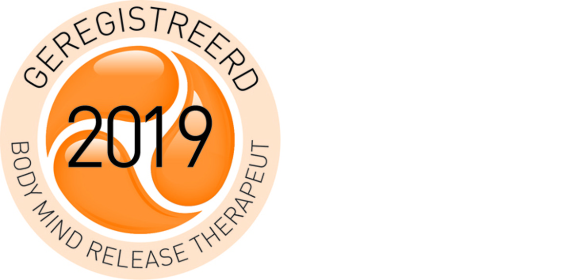 Logo erkend BMR Therapeut